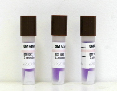 3M ָʾЩ